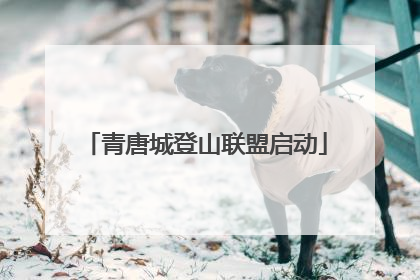 青唐城登山联盟启动
