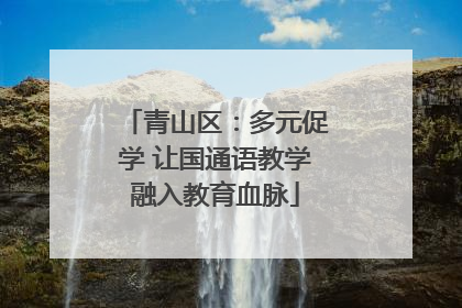 青山区：多元促学 让国通语教学融入教育血脉
