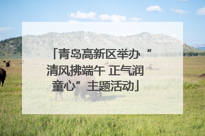 青岛高新区举办“清风拂端午 正气润童心”主题活动