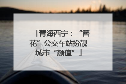 青海西宁：“簪花”公交车站扮靓城市“颜值”