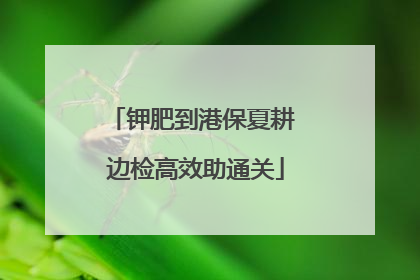 钾肥到港保夏耕 边检高效助通关