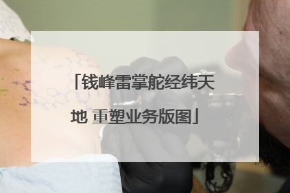 钱峰雷掌舵经纬天地 重塑业务版图