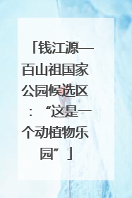 钱江源—百山祖国家公园候选区：“这是一个动植物乐园”