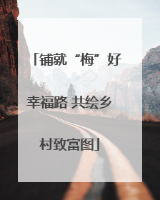 铺就“梅”好幸福路 共绘乡村致富图