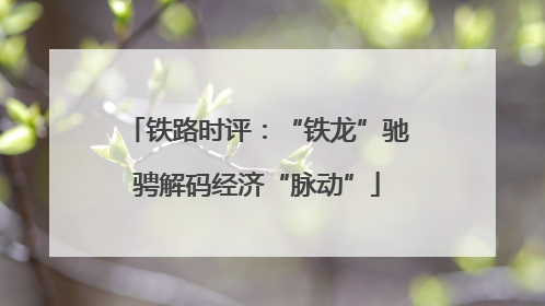 铁路时评：“铁龙”驰骋解码经济“脉动”