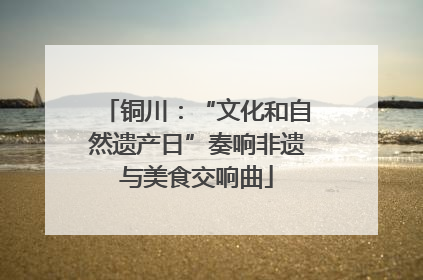 铜川：“文化和自然遗产日”奏响非遗与美食交响曲