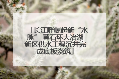 长江畔崛起新“水脉” 黄石环大冶湖新区供水工程沉井完成底板浇筑