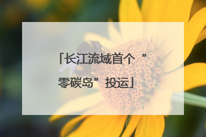 长江流域首个“零碳岛”投运