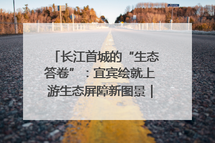 长江首城的“生态答卷”：宜宾绘就上游生态屏障新图景｜中华环保世纪行