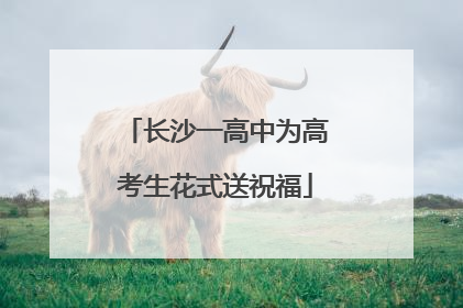 长沙一高中为高考生花式送祝福
