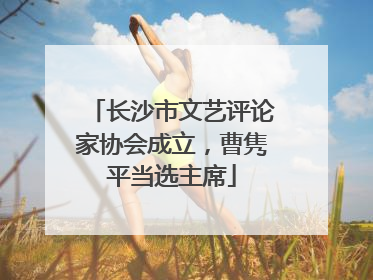长沙市文艺评论家协会成立，曹隽平当选主席
