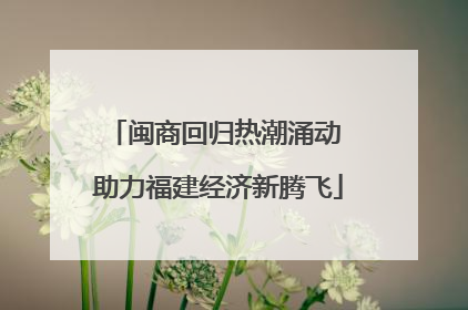 闽商回归热潮涌动 助力福建经济新腾飞
