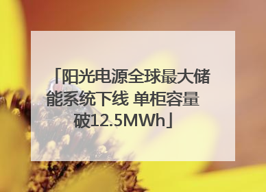 阳光电源全球最大储能系统下线 单柜容量破12.5MWh