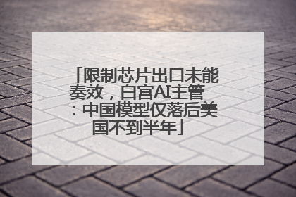 限制芯片出口未能奏效，白宫AI主管：中国模型仅落后美国不到半年