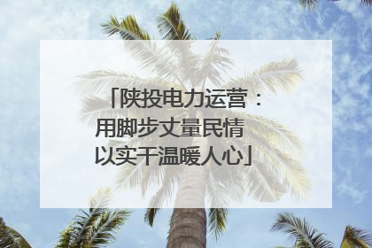 陕投电力运营：用脚步丈量民情 以实干温暖人心