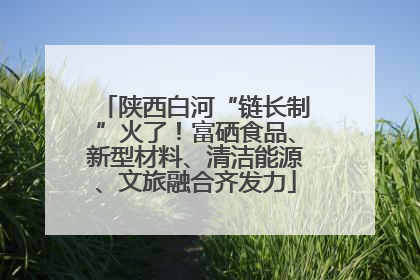 陕西白河“链长制”火了！富硒食品、新型材料、清洁能源、文旅融合齐发力