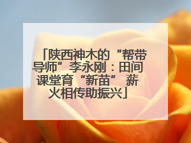 陕西神木的“帮带导师”李永刚：田间课堂育“新苗” 薪火相传助振兴