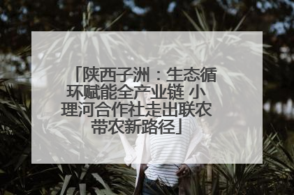陕西子洲：生态循环赋能全产业链 小理河合作社走出联农带农新路径