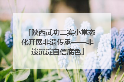 陕西武功二实小常态化开展非遗传承——非遗沉淀自信底色
