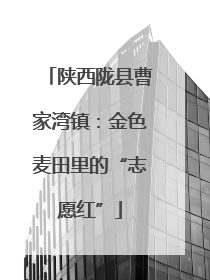 陕西陇县曹家湾镇：金色麦田里的“志愿红”
