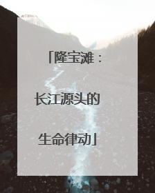 隆宝滩：长江源头的生命律动