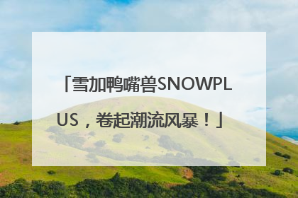 雪加鸭嘴兽SNOWPLUS，卷起潮流风暴！