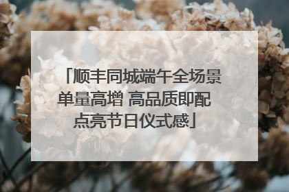 顺丰同城端午全场景单量高增 高品质即配点亮节日仪式感