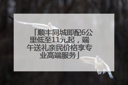 顺丰同城即配6公里低至11元起，端午送礼亲民价格享专业高端服务
