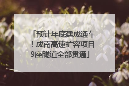 预计年底建成通车！成南高速扩容项目9座隧道全部贯通