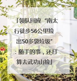 领队回应“南太行徒步56公里捡出50多袋垃圾”：随手的事，还打算去武功山捡