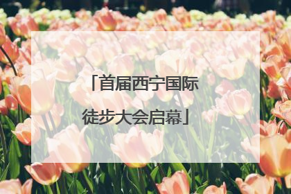 首届西宁国际徒步大会启幕