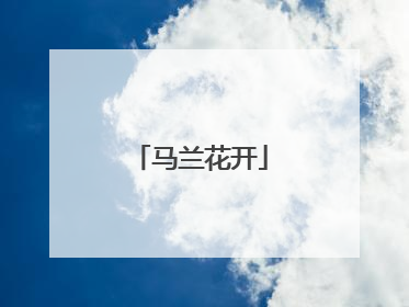 马兰花开