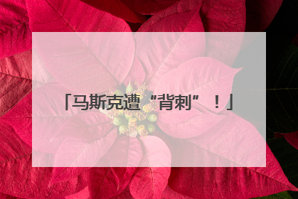 马斯克遭“背刺”！