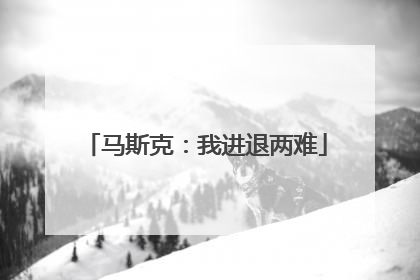 马斯克：我进退两难