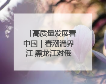高质量发展看中国｜春潮涌界江 黑龙江对俄经贸文旅交流绿意盎然