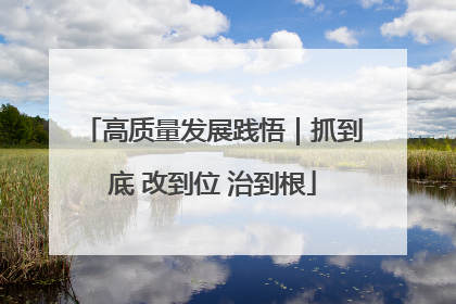 高质量发展践悟｜抓到底 改到位 治到根