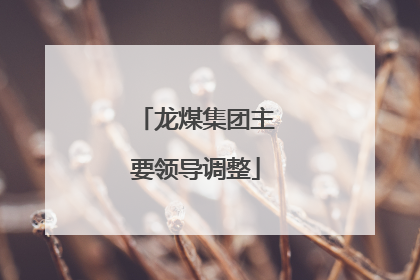 龙煤集团主要领导调整