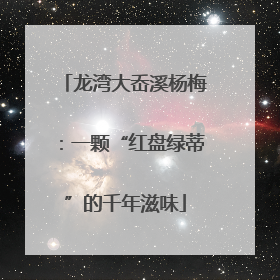 龙湾大岙溪杨梅：一颗“红盘绿蒂”的千年滋味