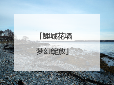 鲤城花墙 梦幻绽放