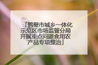 鹤壁市城乡一体化示范区市场监管分局开展重点问题食用农产品专项整治