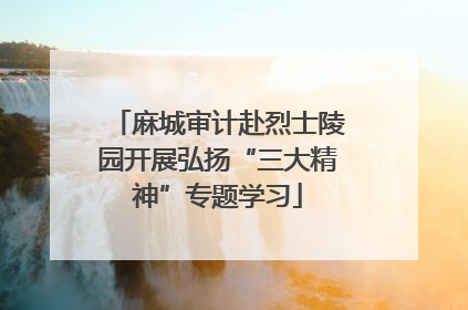 麻城审计赴烈士陵园开展弘扬“三大精神”专题学习
