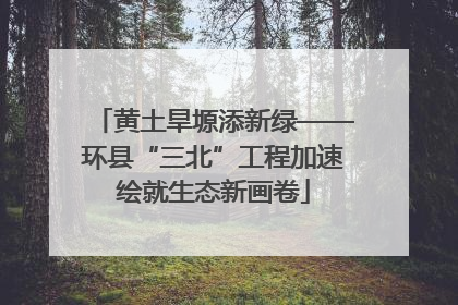黄土旱塬添新绿——环县“三北”工程加速绘就生态新画卷