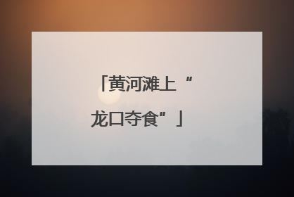 黄河滩上“龙口夺食”