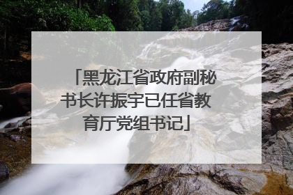 黑龙江省政府副秘书长许振宇已任省教育厅党组书记