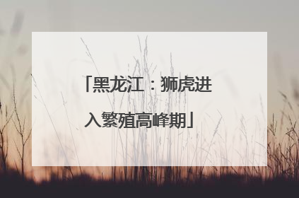 黑龙江：狮虎进入繁殖高峰期