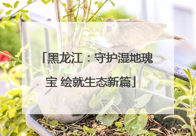 黑龙江：守护湿地瑰宝 绘就生态新篇
