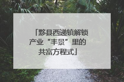 黟县西递镇解锁产业“丰景”里的共富方程式
