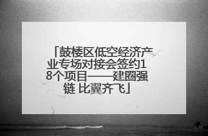 鼓楼区低空经济产业专场对接会签约18个项目——建圈强链 比翼齐飞