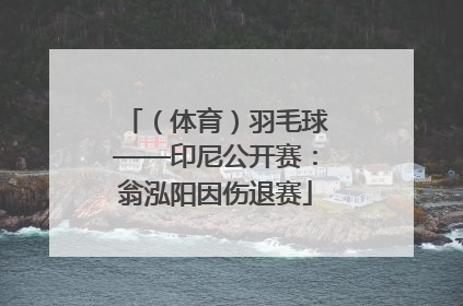（体育）羽毛球——印尼公开赛：翁泓阳因伤退赛