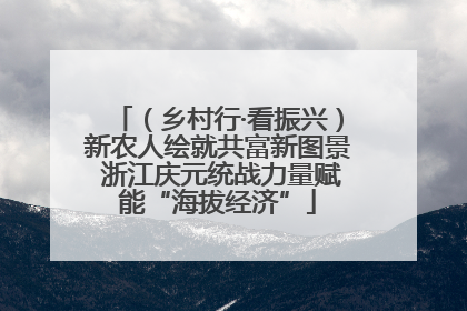 （乡村行·看振兴）新农人绘就共富新图景 浙江庆元统战力量赋能“海拔经济”